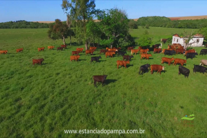 Fazenda Reconquista - Cachoeira do Sul.00_00_25_12.Quadro008_68825fd07deb41040517bba5a22879e833f29cf8.png